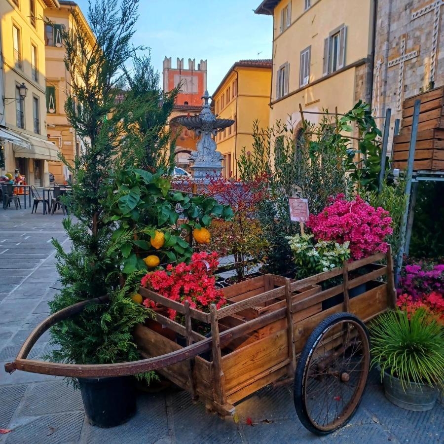 La Casa Di Ciaccia Lägenhet Camaiore Exteriör bild